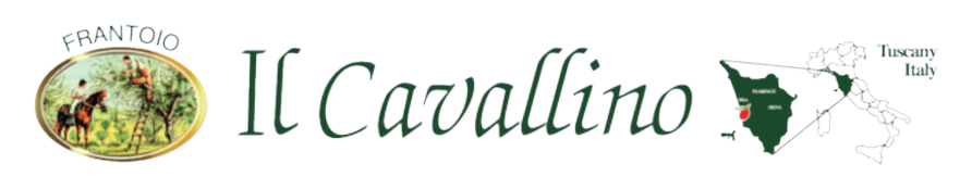 Il Cavallino